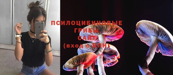 кокаин перу Белокуриха