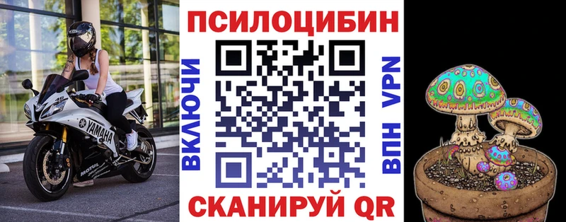 Купить закладки  Красноармейск  Галлюциногенные грибы GOLDEN TEACHER 
